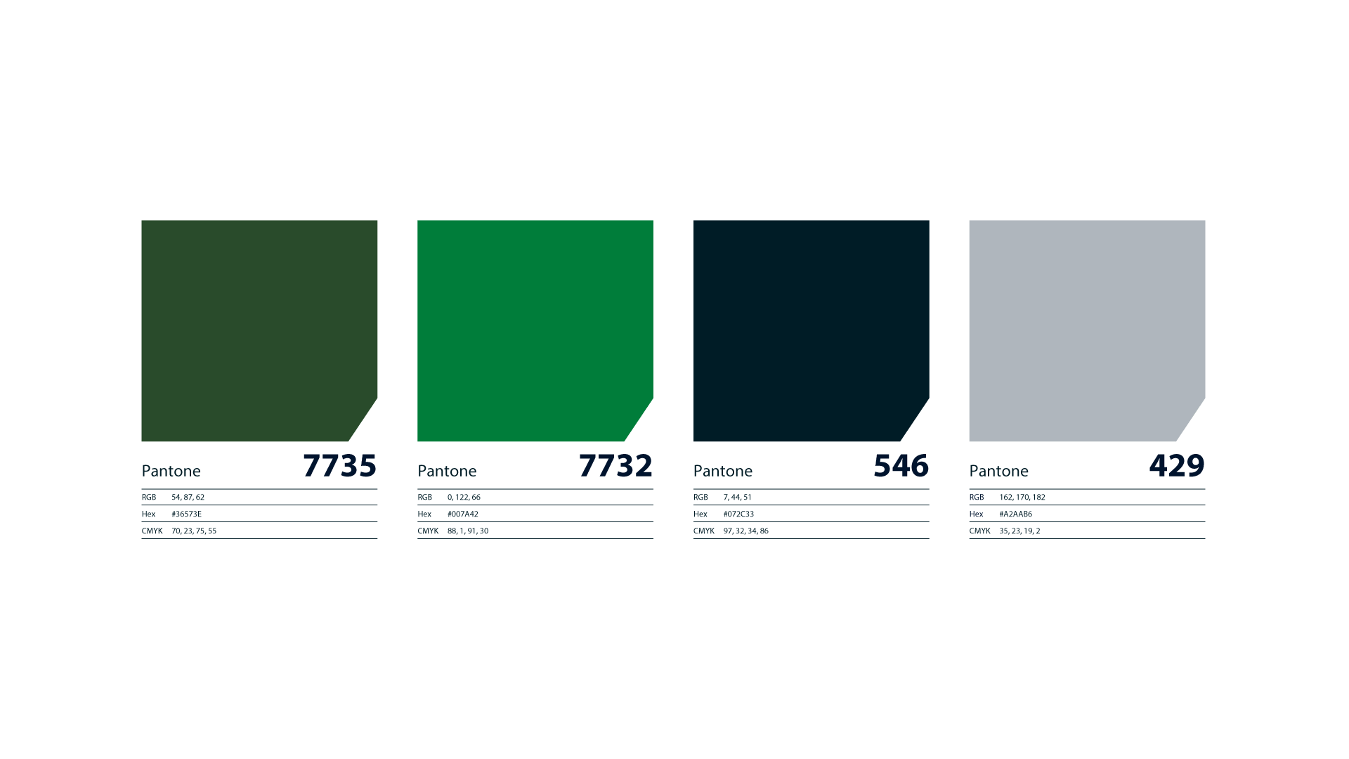 colours picked for brand guidelines boosting brand presence